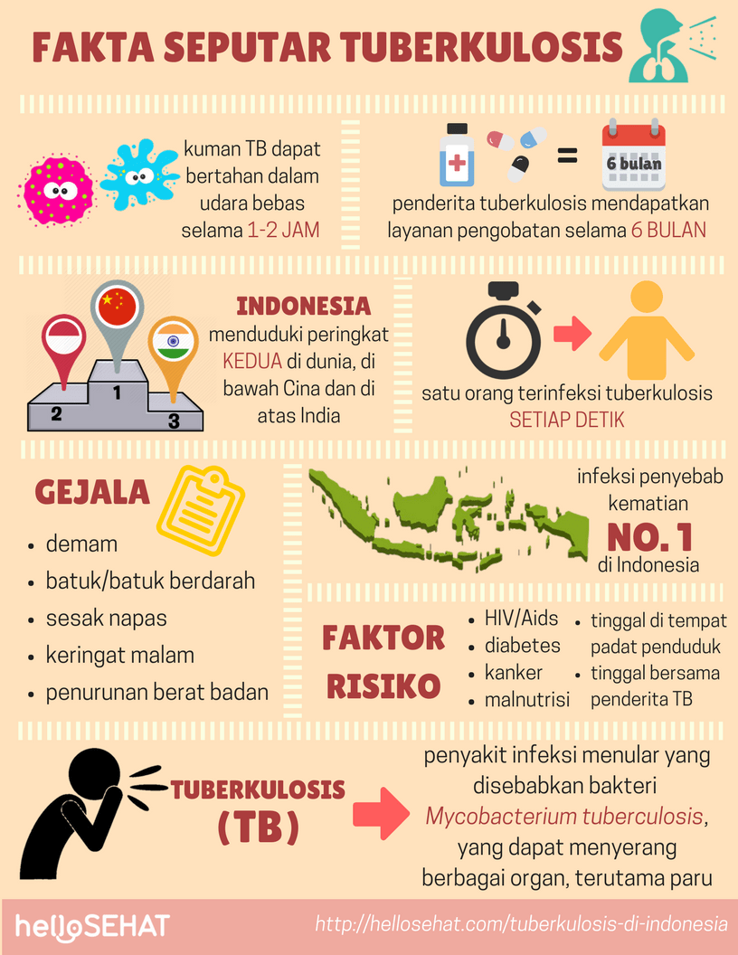 туберкулез туберкулез в Индонезии