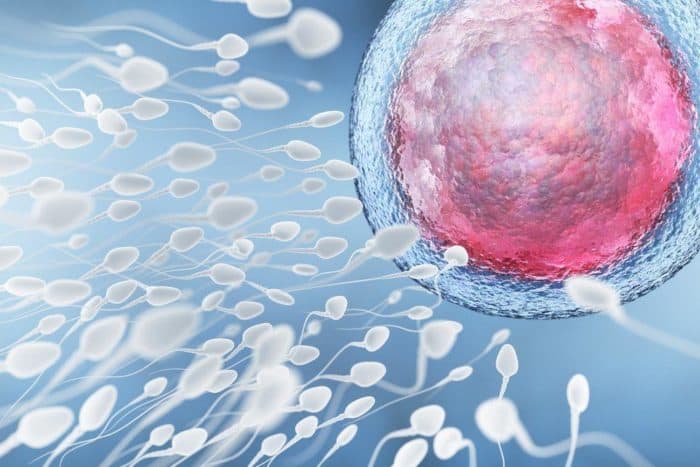 Анализ спермы - это тест мужской фертильности