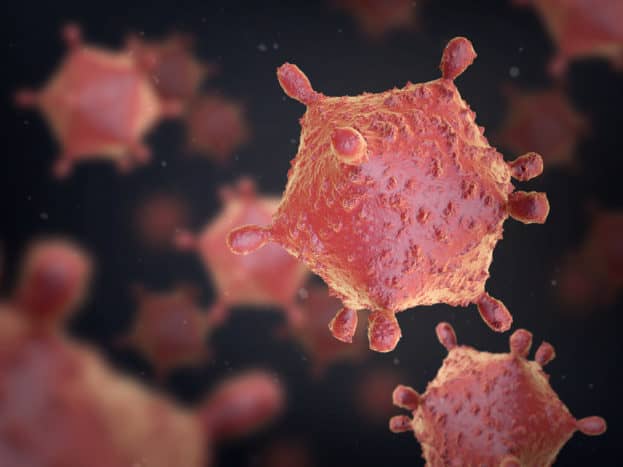 Вирус атакует болезнетворные бактерии