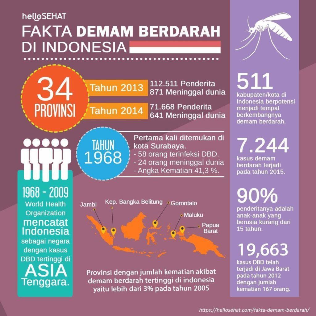 лихорадка денге hellosehat в Индонезии