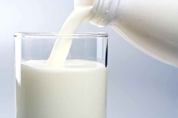 польза козьего молока для здоровья