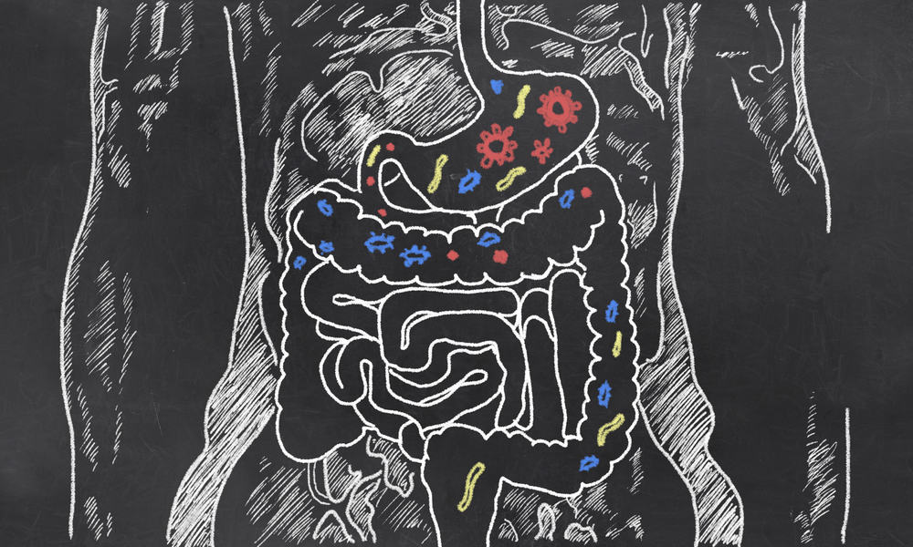диетические схемы на основе бактерий в кишечнике