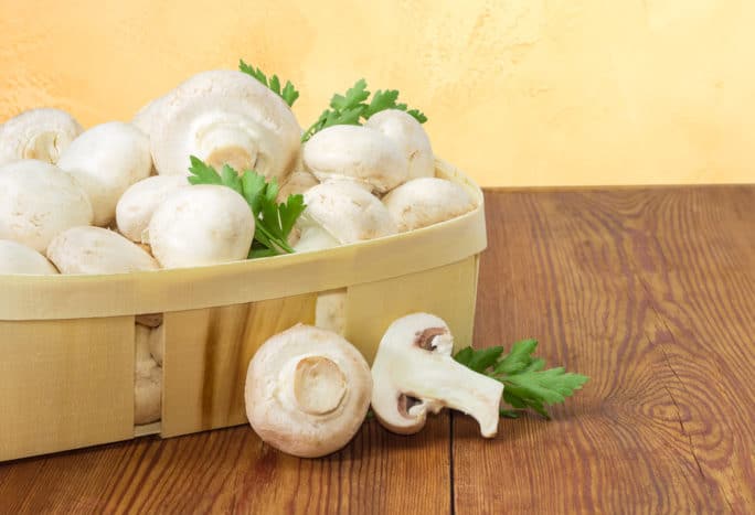польза грибов и их риски для здоровья